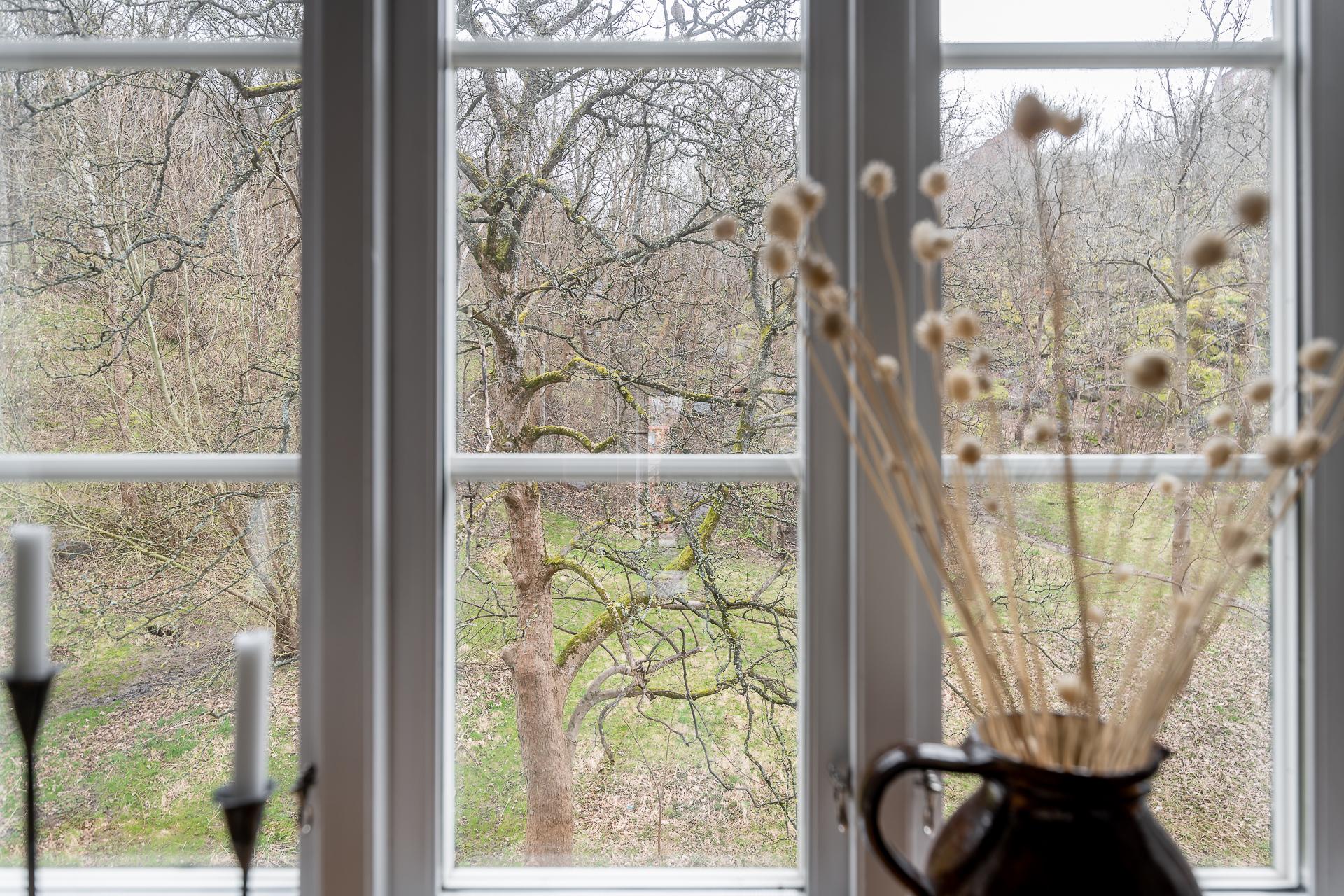 Spröjsade fönster ut mot Engelska parken