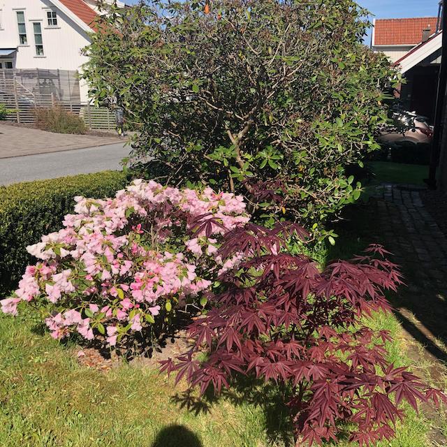 Säljarens sommarbild