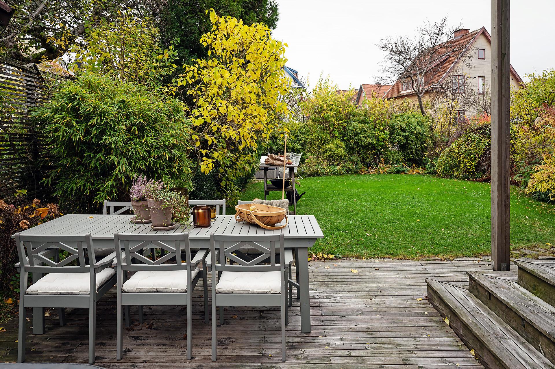 En härlig och insynsskyddad trädgård året om