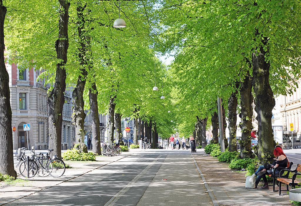 Vasagatans allé korsar Viktoriagatan