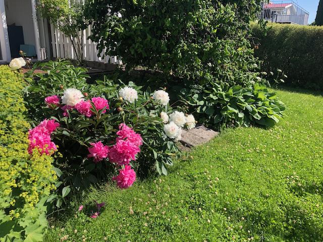 Säljarens sommarbild