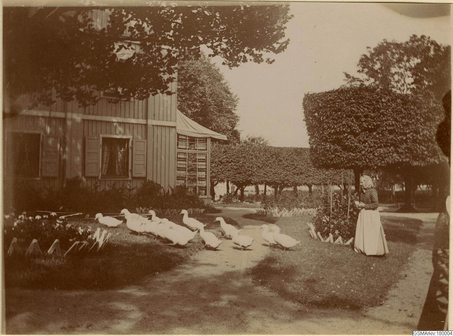 Ankor och en gårdsarbetare i trädgården tillhörande Olivedals herrgård ca 1890