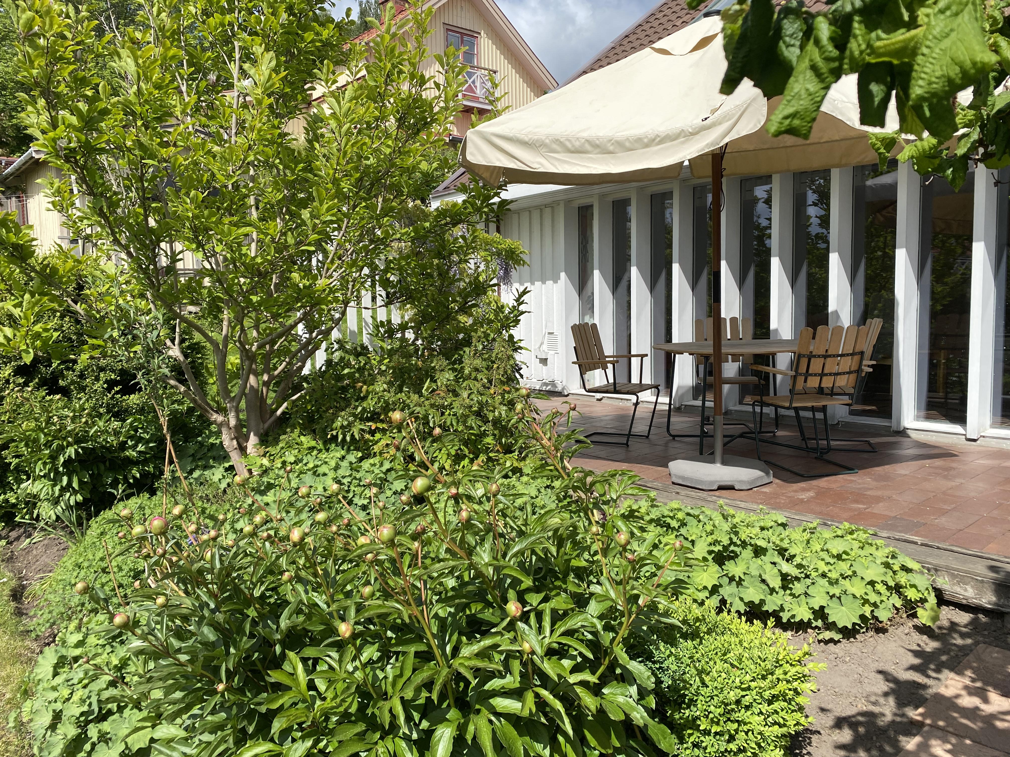 Säljarens sommarbild