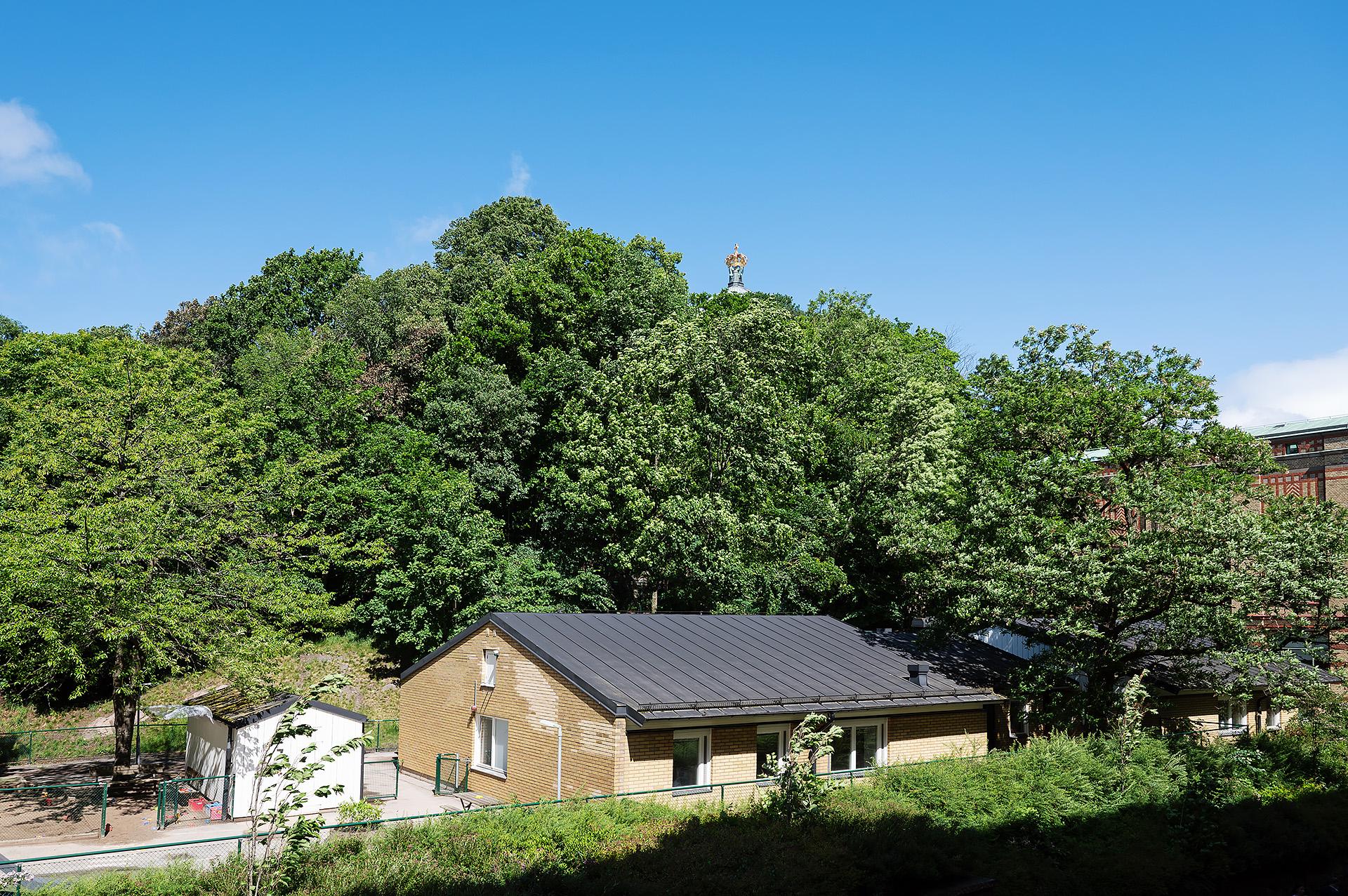Genom fönstret ser man himlen och grönskan