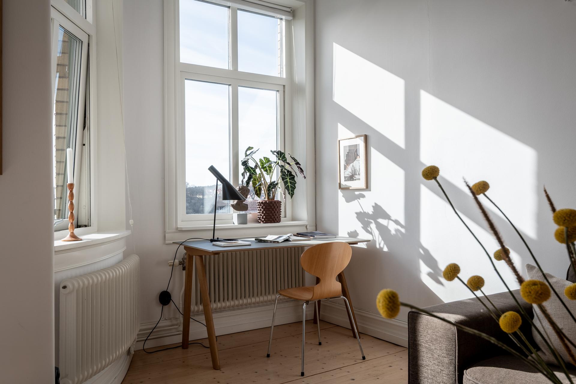 Solkatterna bjuder upp till dans året runt