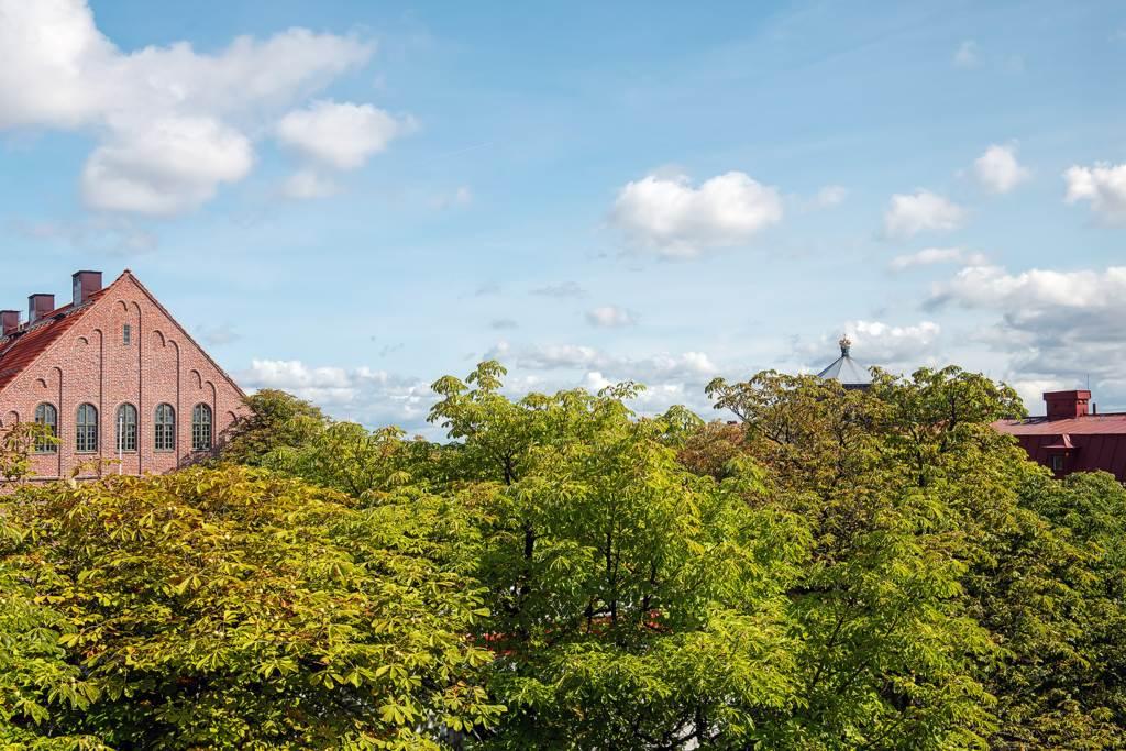 Lågupplöst Vyn norrut från sovrummet