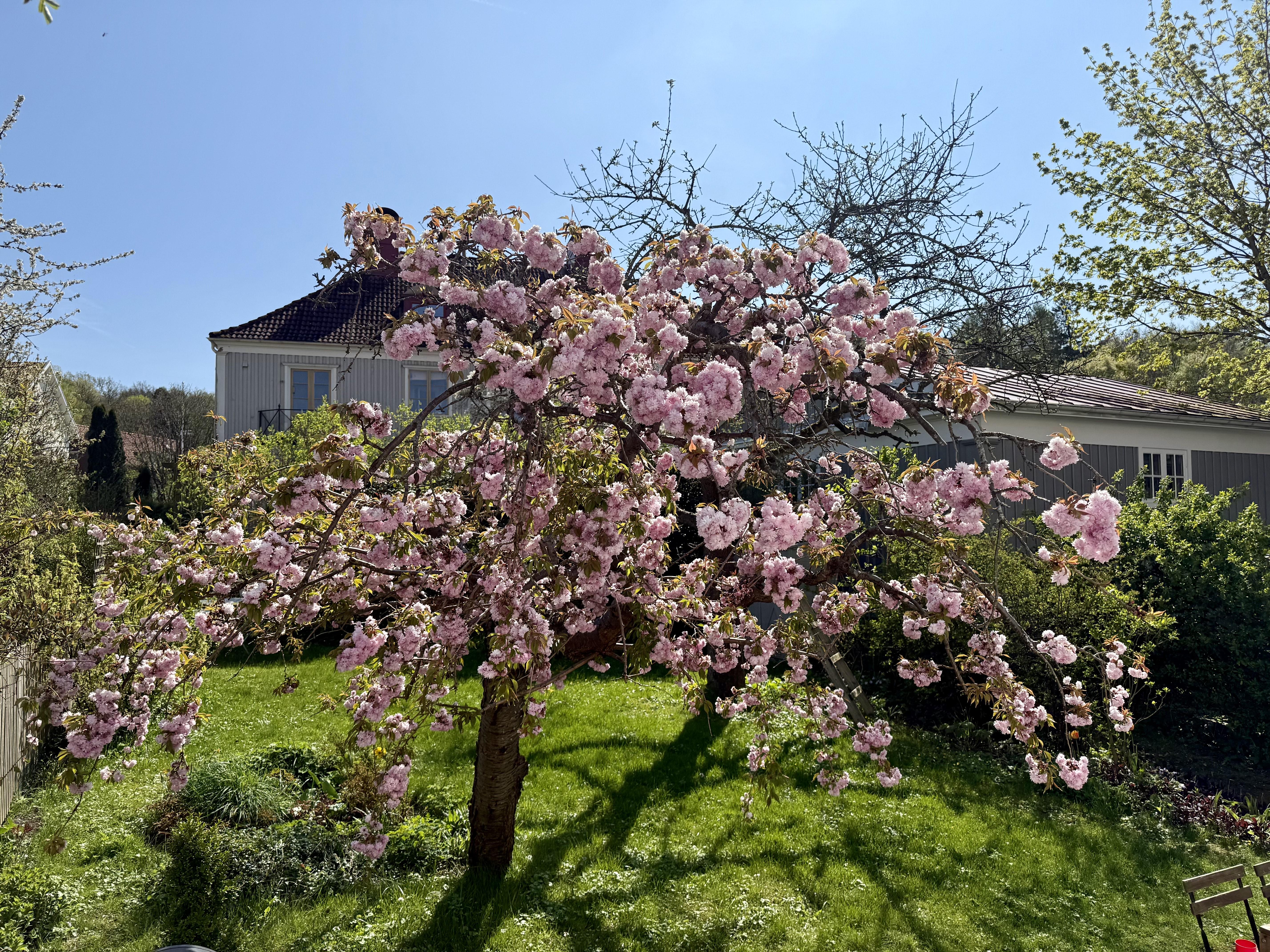 Säljarens privata bild