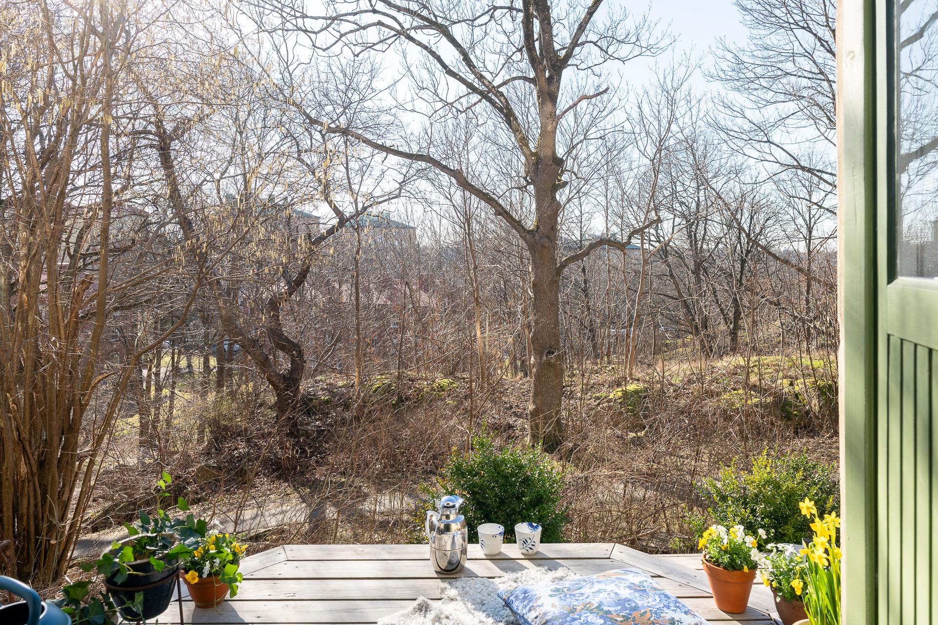 Här prunkar grönskan inom kort