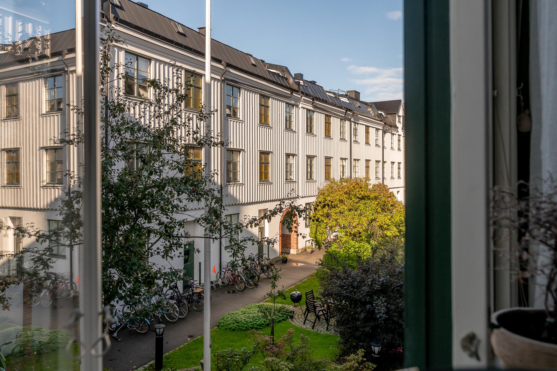 Vy från köksfönstret