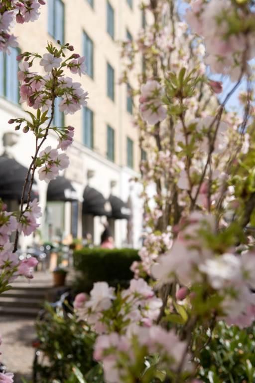 Lågupplöst Lågupplöst ... och Linnégatans alla uteserveringar!