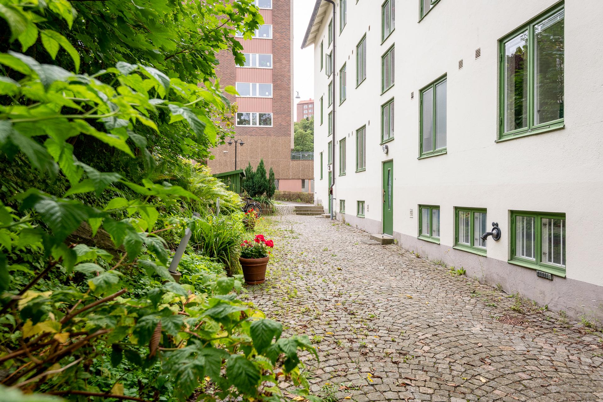 Lummig innergård med cykelförvaring