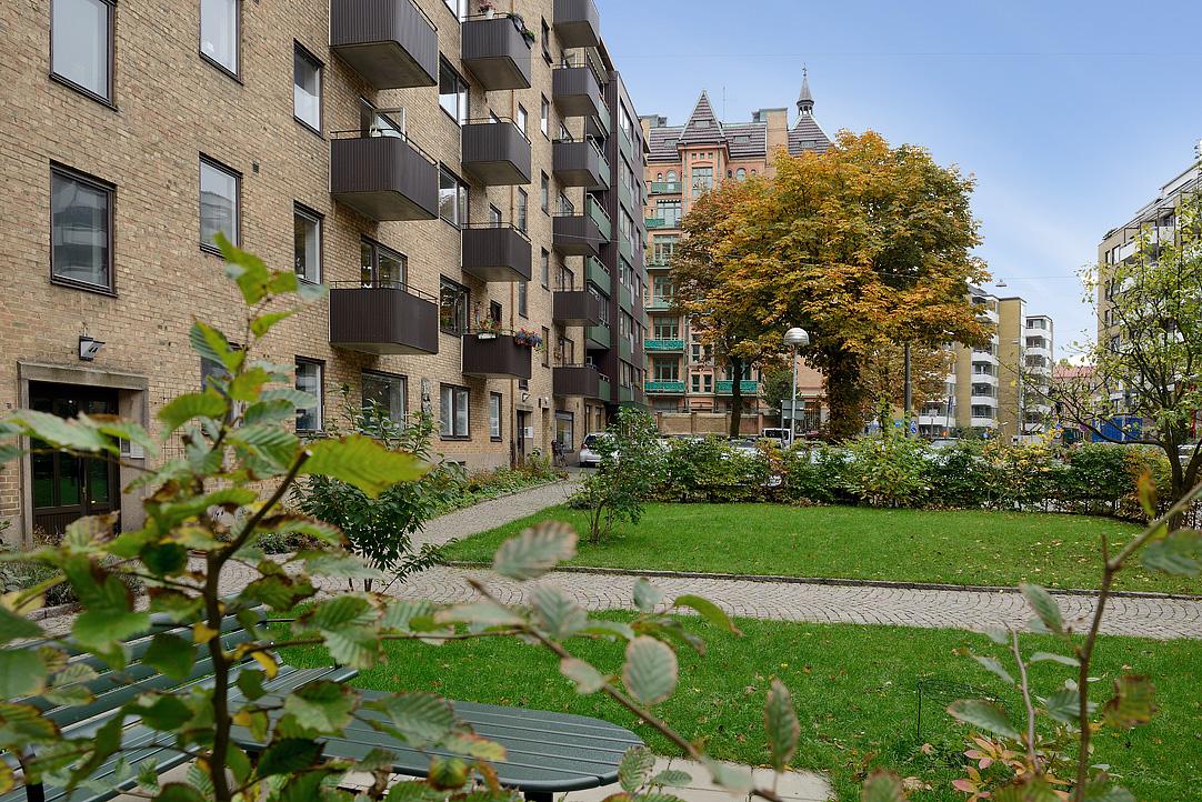 Grönskande omgivningar och välskött förening!