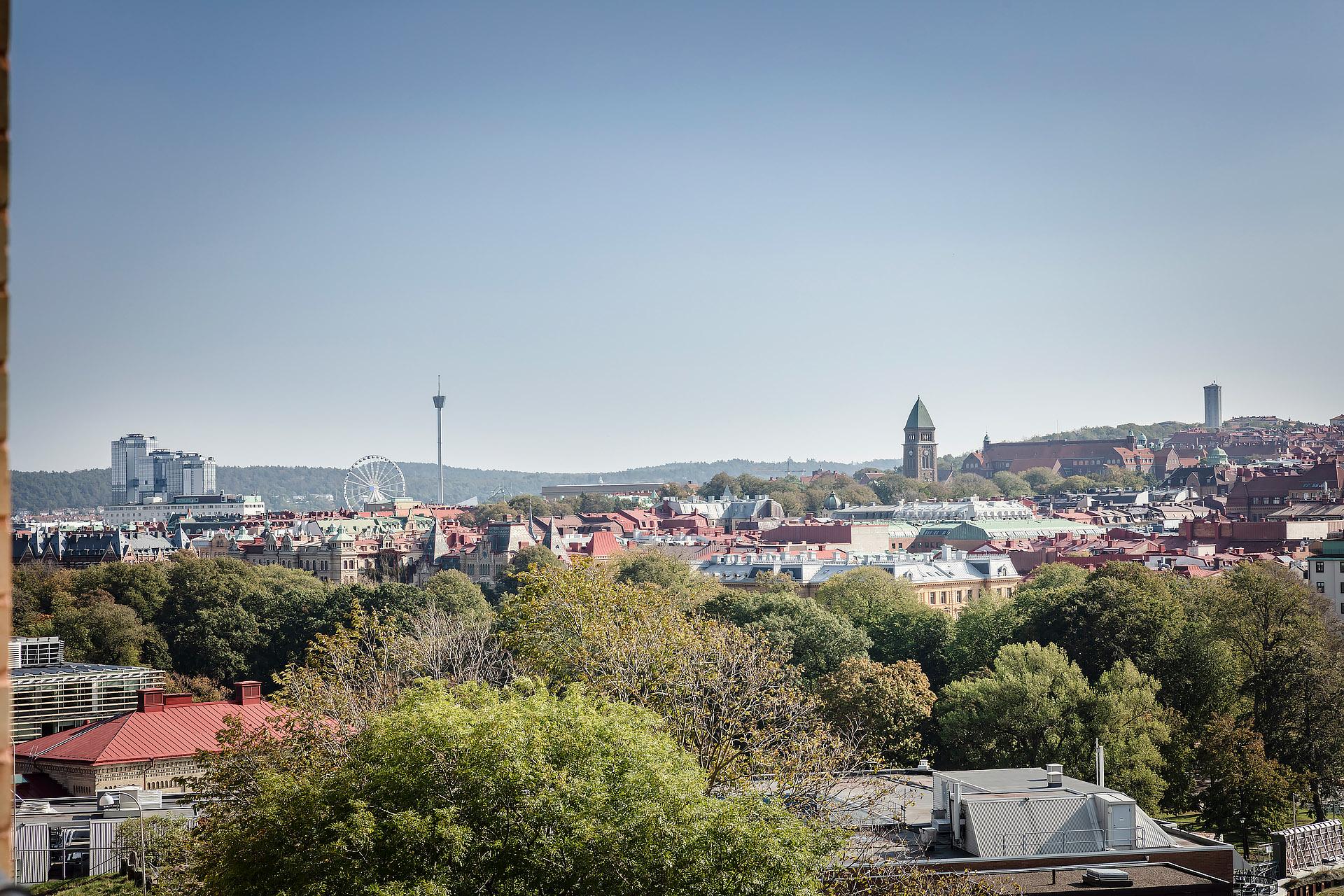 Snart kommer grönskan tillbaka med löften om vår