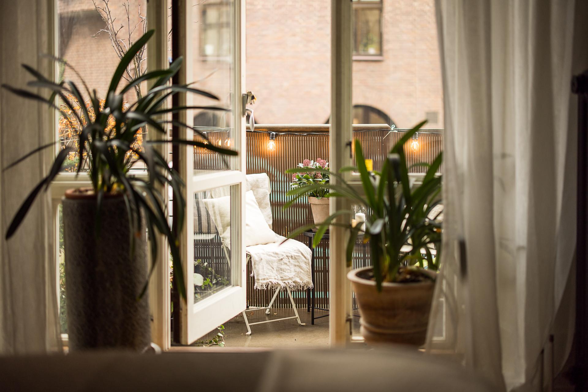 En dröm att kunna öppna upp till stans bästa uteplats