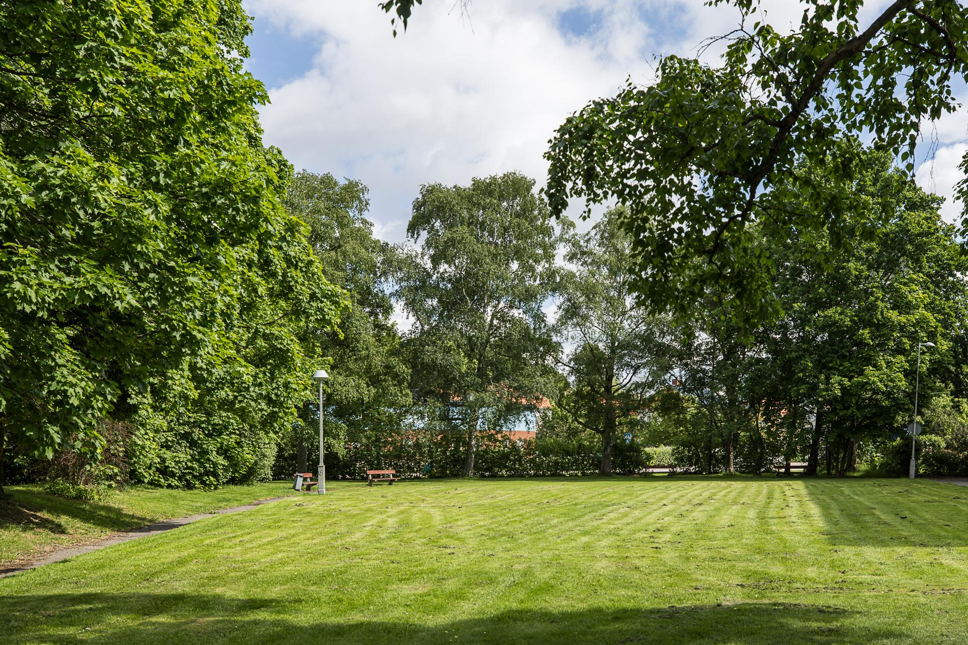 Utsikten från rummet