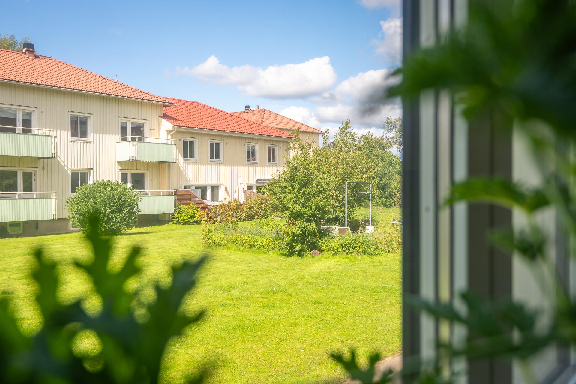 Från köket har man utsikt över gården, som bara är några trappsteg ner.