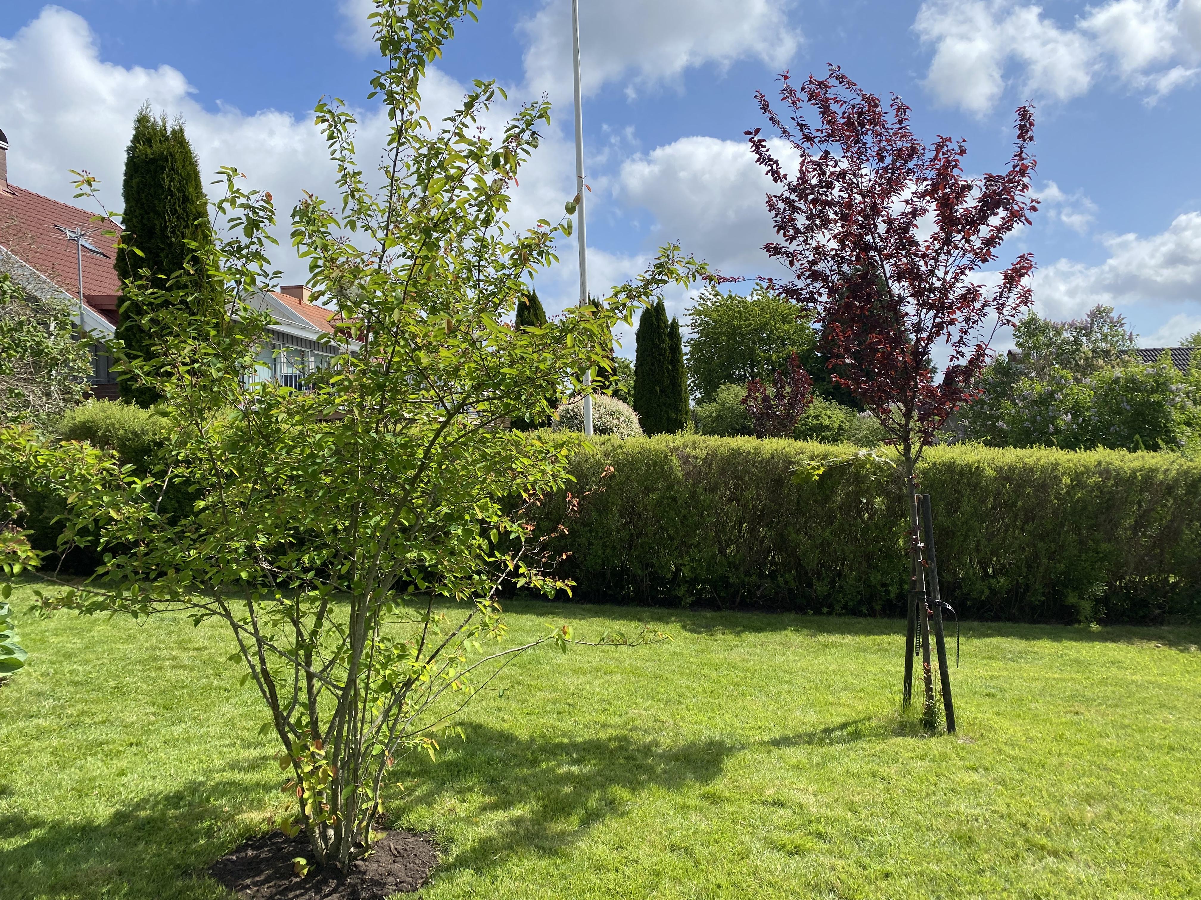 Säljarens sommarbild